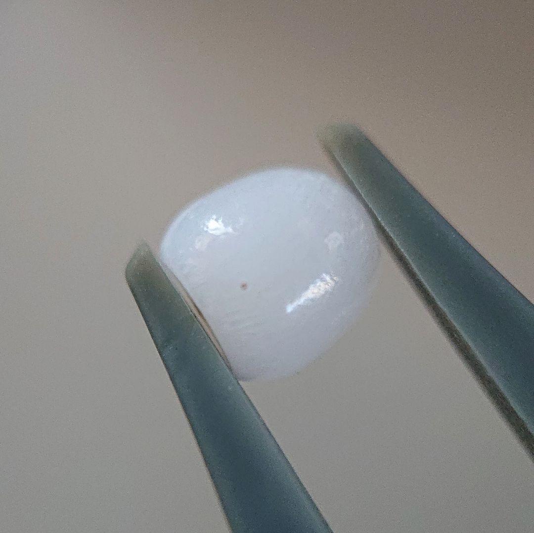 天然クラムパール／トリダクナパール（約1.9ct） - メルカリ