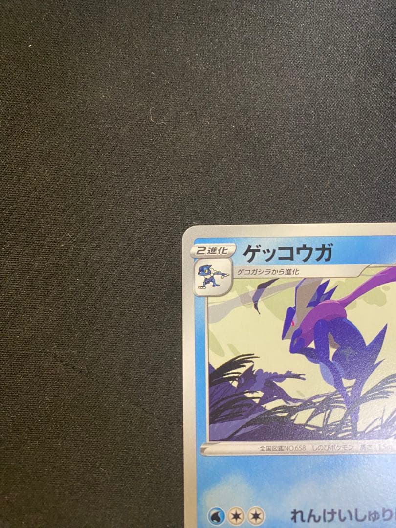 【24時間以内発送】ゲッコウガ2022イラストレーションコンテスト