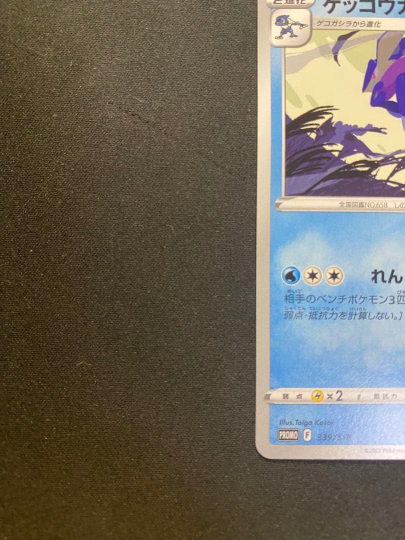 【24時間以内発送】ゲッコウガ2022イラストレーションコンテスト