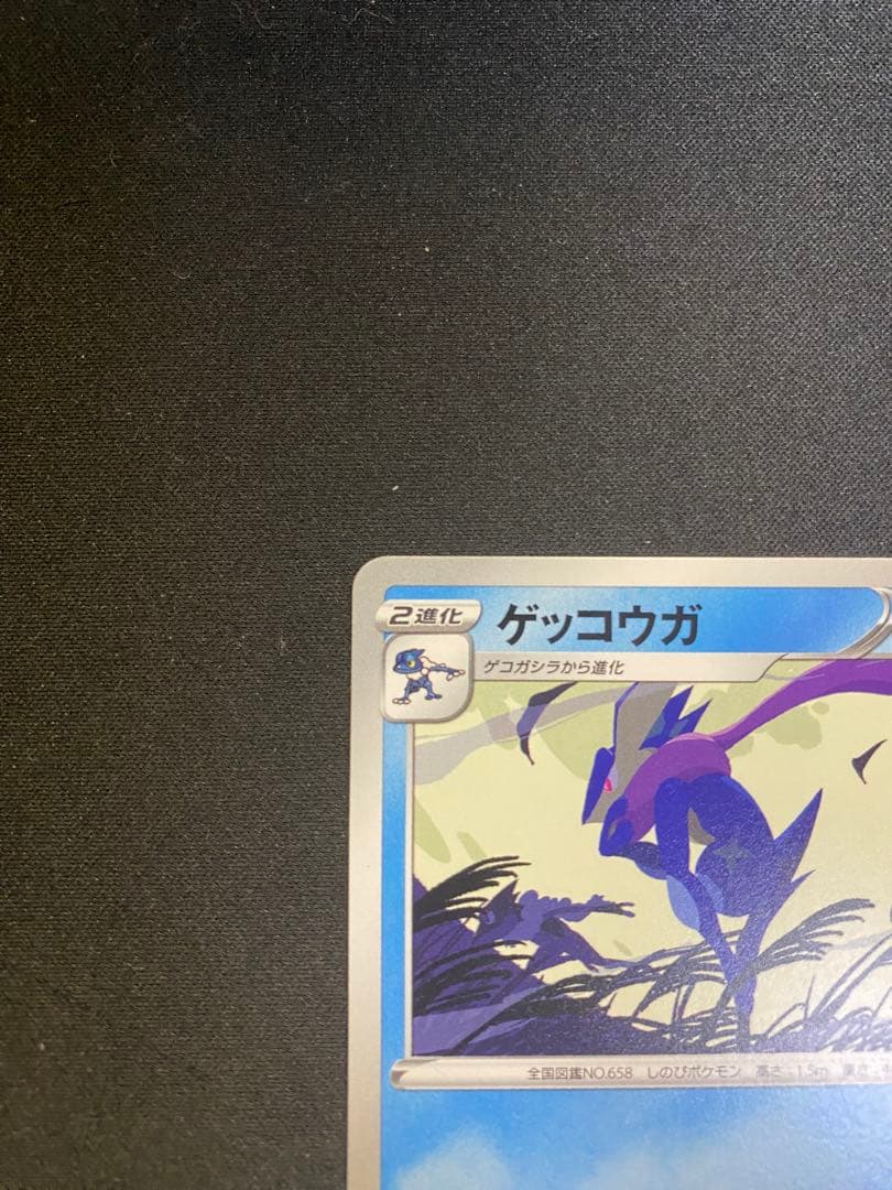 【24時間以内発送】ゲッコウガ2022イラストレーションコンテスト