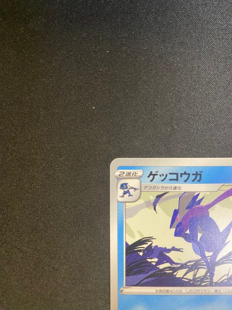 【24時間以内発送】ゲッコウガ2022イラストレーションコンテスト