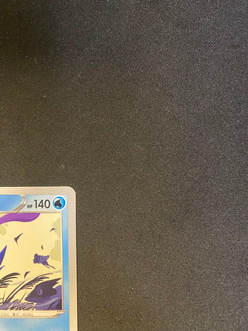 【24時間以内発送】ゲッコウガ2022イラストレーションコンテスト