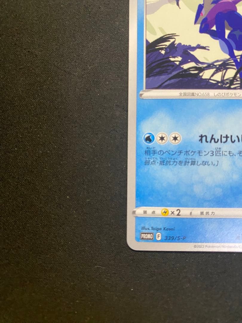 【24時間以内発送】ゲッコウガ2022イラストレーションコンテスト