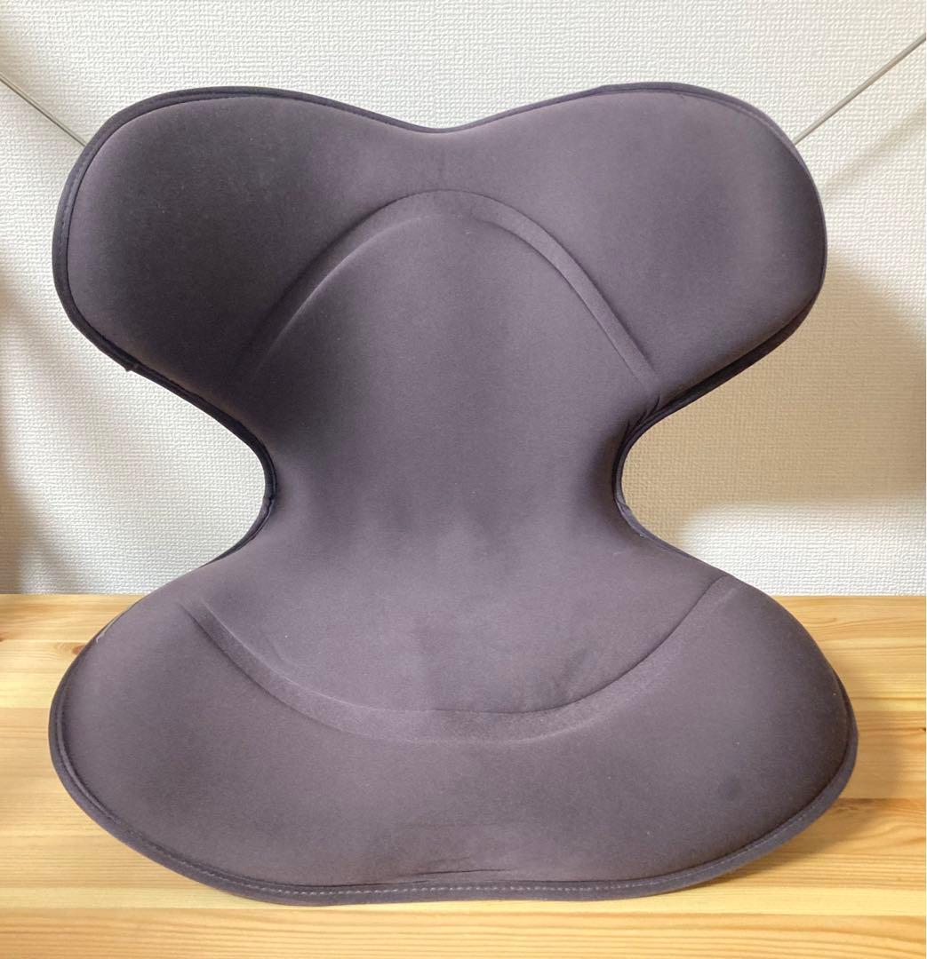 ☆良品！！ スタイルスマート MTG Style SMART 骨盤矯正 姿勢矯正