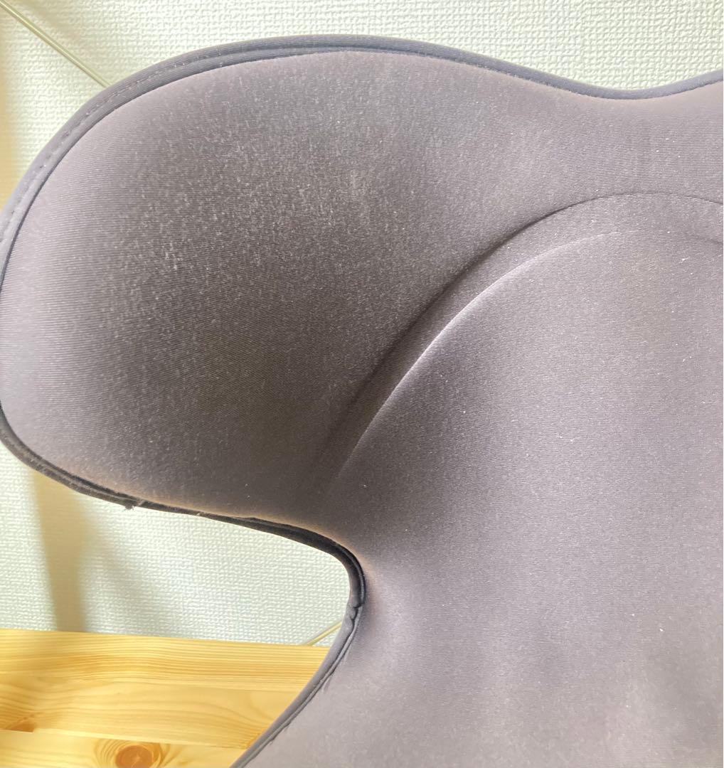 ☆良品！！ スタイルスマート MTG Style SMART 骨盤矯正 姿勢矯正