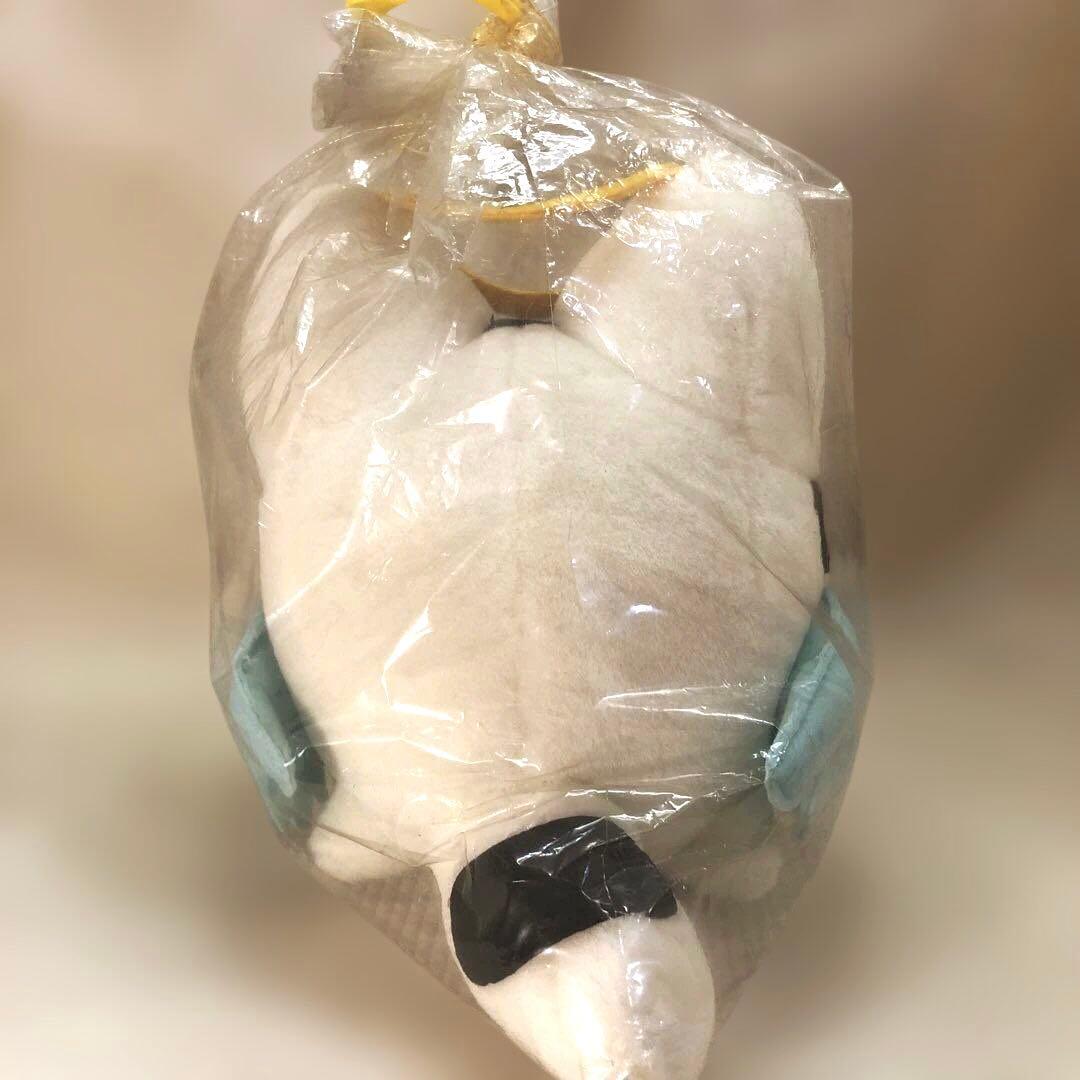 希少レア！ すくすく犬福［ 天使福 ］ぬいぐるみ - メルカリ