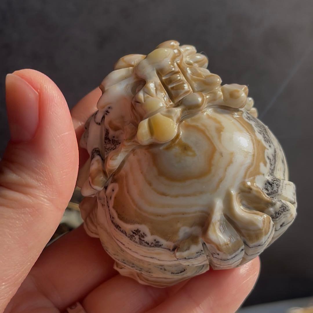 デンドリ カルサイト ロングイ 龍亀