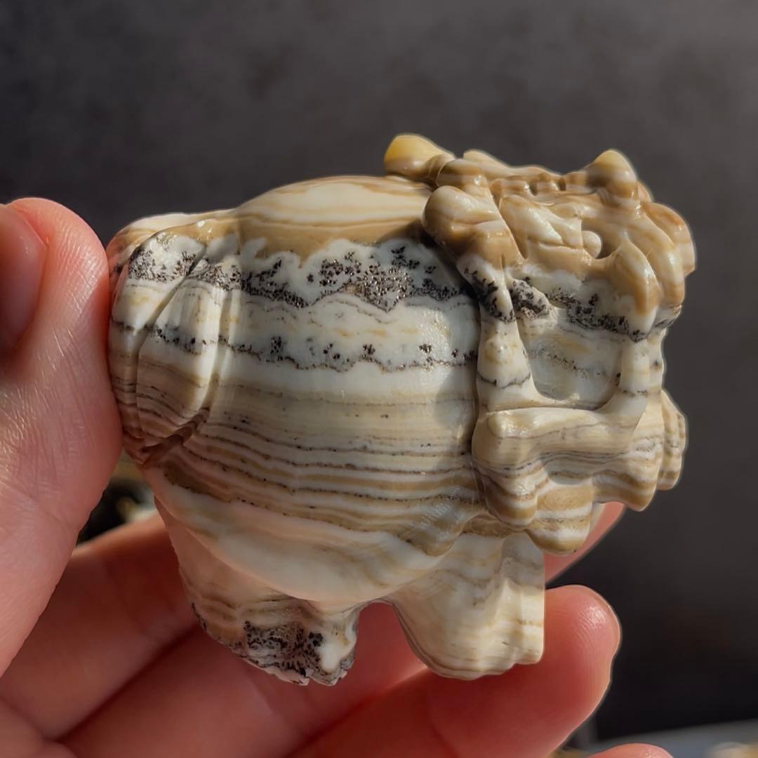 デンドリ カルサイト ロングイ 龍亀