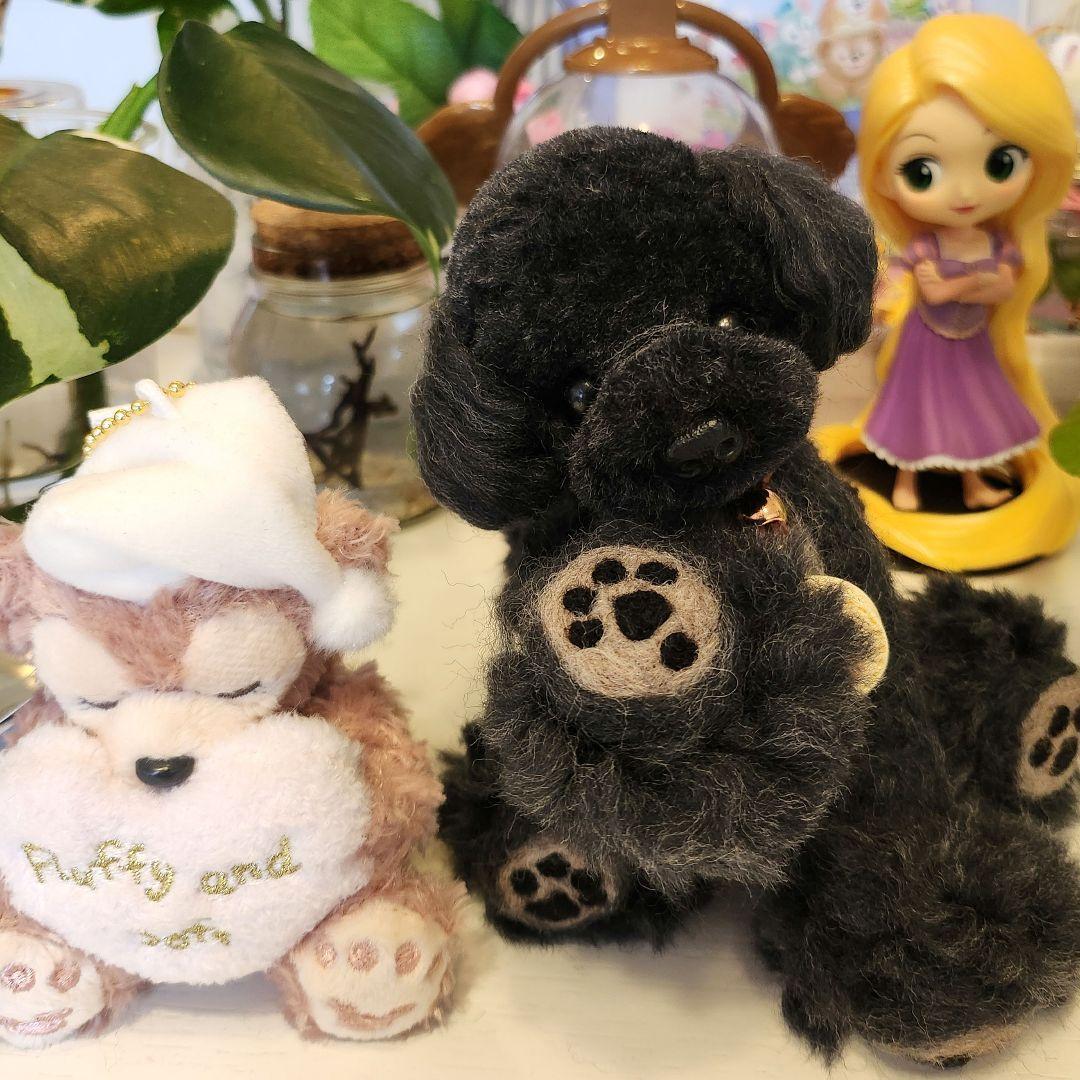 お迎え決まりました♥️　　　　　　　　　　　　　　　トイプードル❤️羊毛フェルト