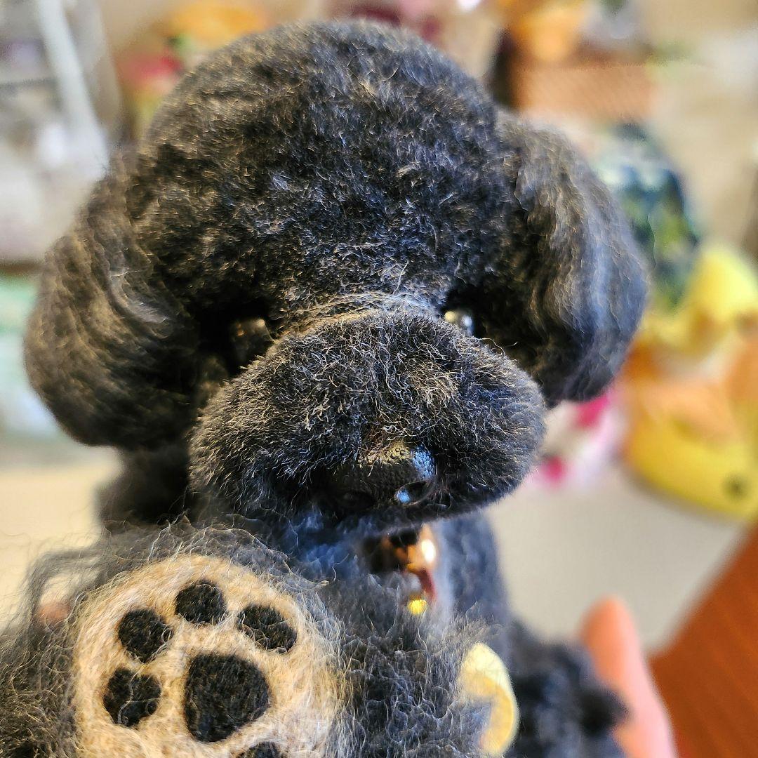 お迎え決まりました♥️　　　　　　　　　　　　　　　トイプードル❤️羊毛フェルト