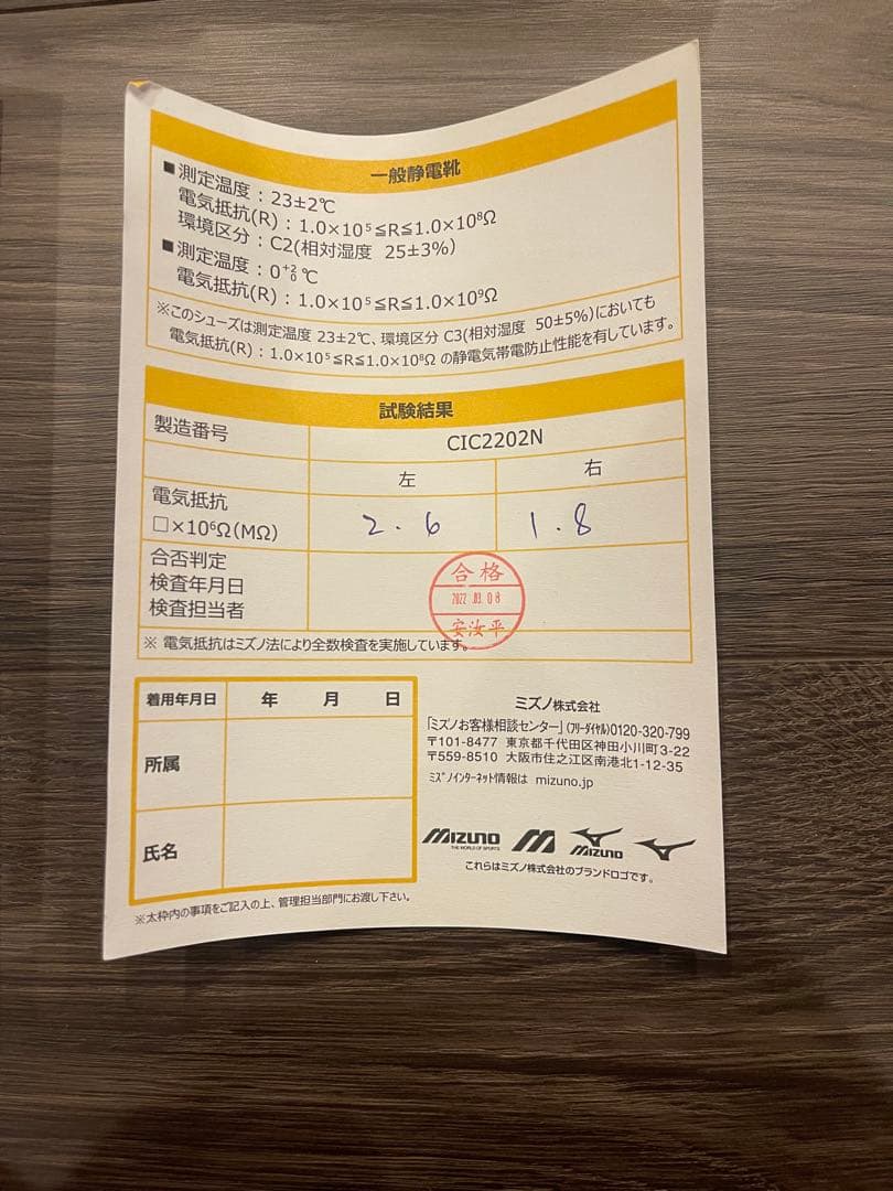 新品　ミズノ　安全靴　黒　29cm オールマイティ　AS Ⅱ 34 L 静電気