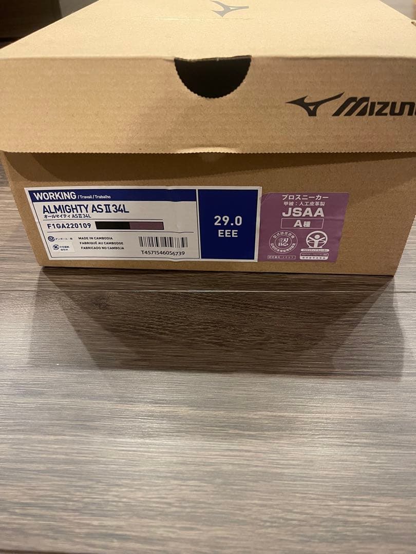 新品　ミズノ　安全靴　黒　29cm オールマイティ　AS Ⅱ 34 L 静電気