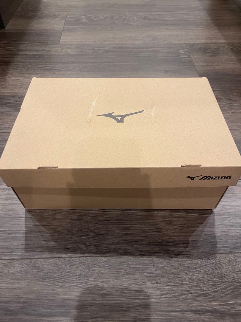 新品　ミズノ　安全靴　黒　29cm オールマイティ　AS Ⅱ 34 L 静電気