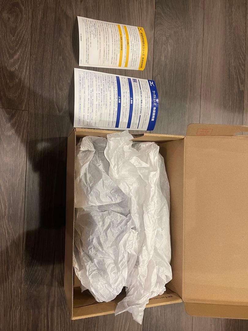 新品　ミズノ　安全靴　黒　29cm オールマイティ　AS Ⅱ 34 L 静電気