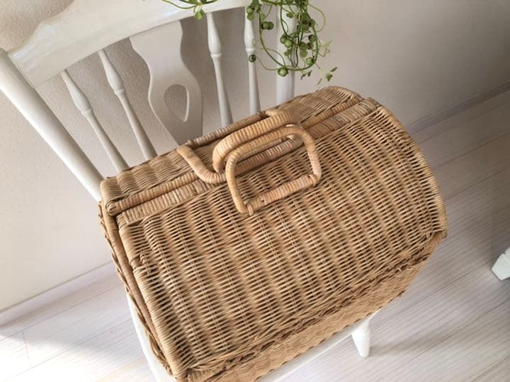 アンティーク　かご　バスケット　ワンちゃんねこちゃんにも