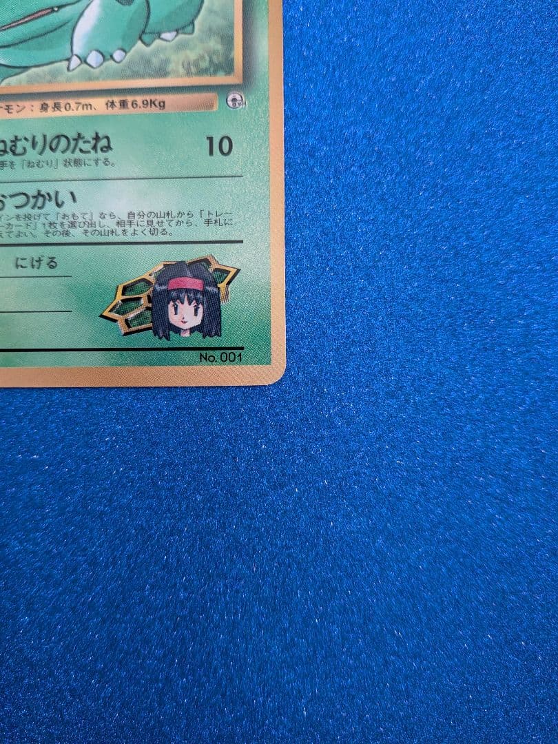 フシギダネ HP50 レベル15 ポケモンカード　旧裏　マークなし　反あり