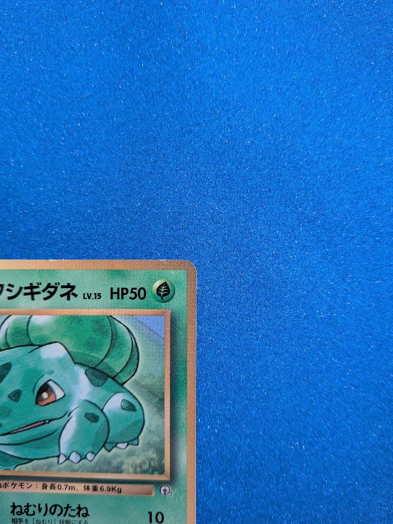 フシギダネ HP50 レベル15 ポケモンカード　旧裏　マークなし　反あり