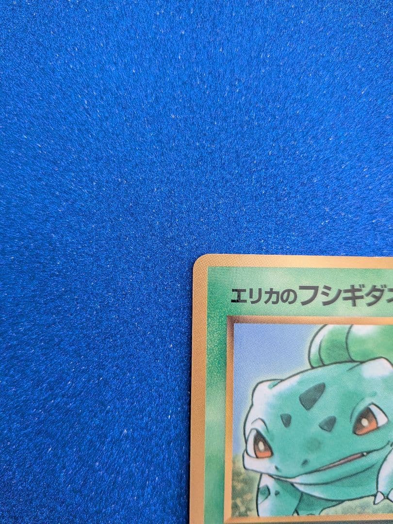 フシギダネ HP50 レベル15 ポケモンカード　旧裏　マークなし　反あり