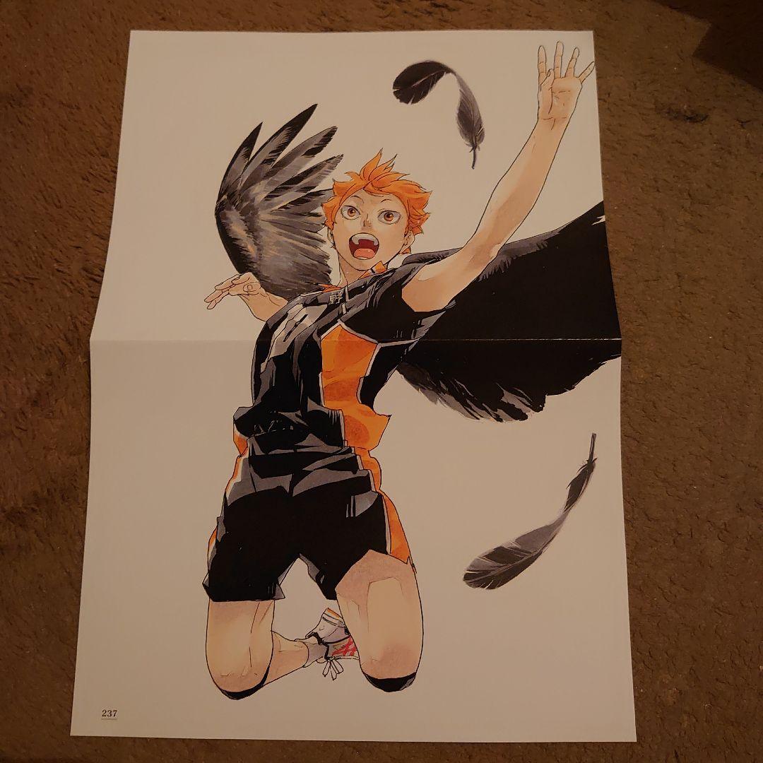 ✣ハイキュー 両面ポスター#♡⑥ 日向 高く飛ぶ - メルカリ