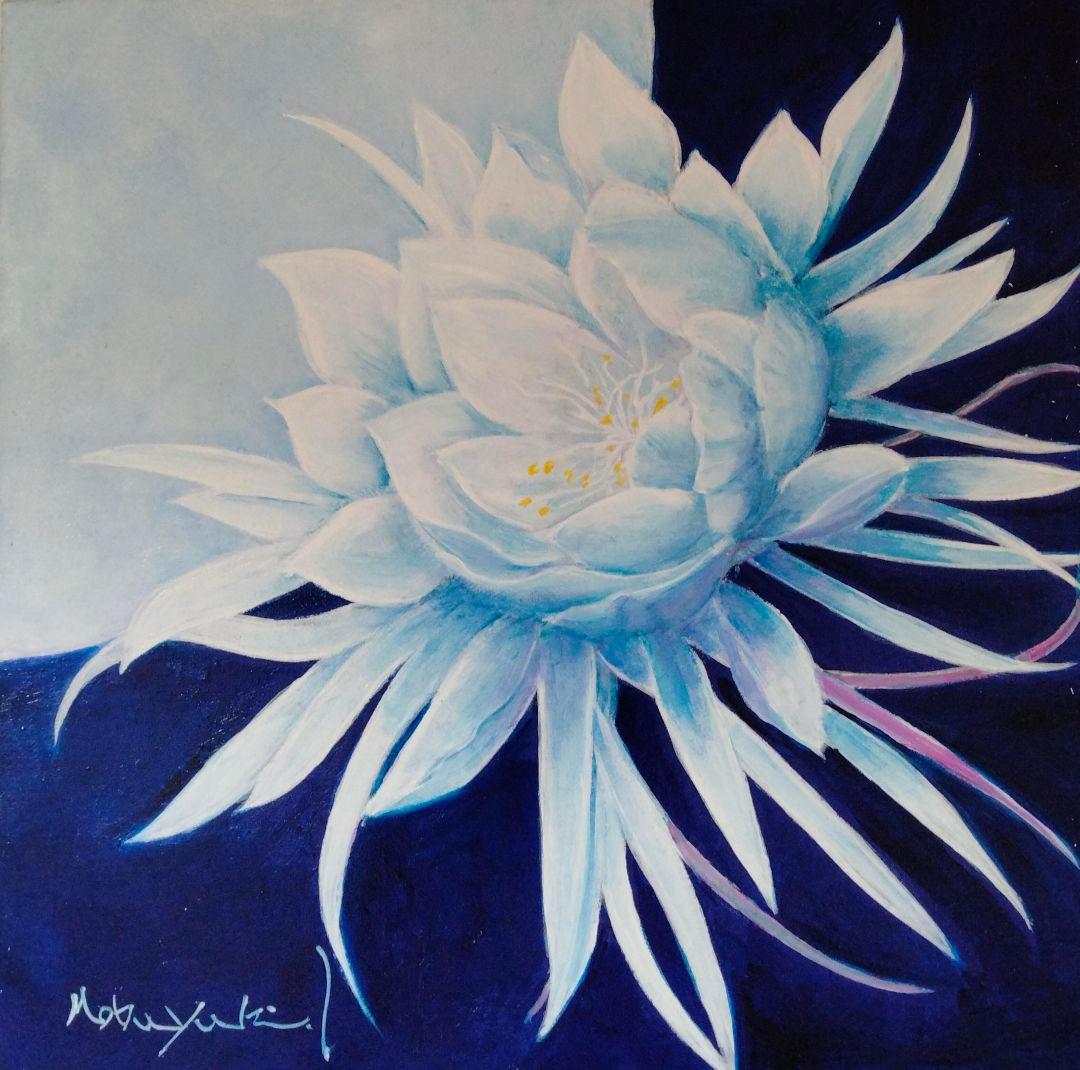 油絵　月光華（月下美人）F3　洋画家・池畠史幸　新作真筆画