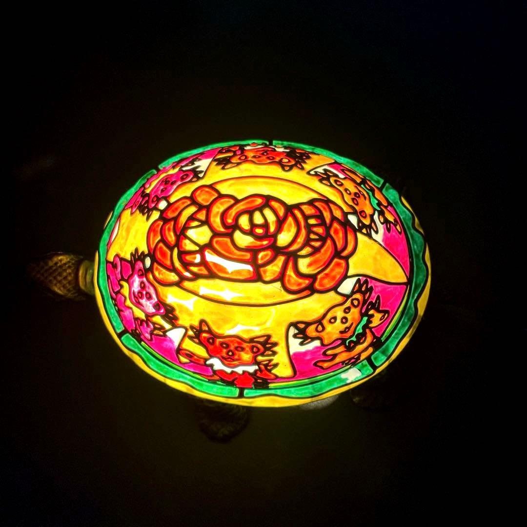 レア・超希少】グレートフルデッドベア アンティークなカメと薔薇の