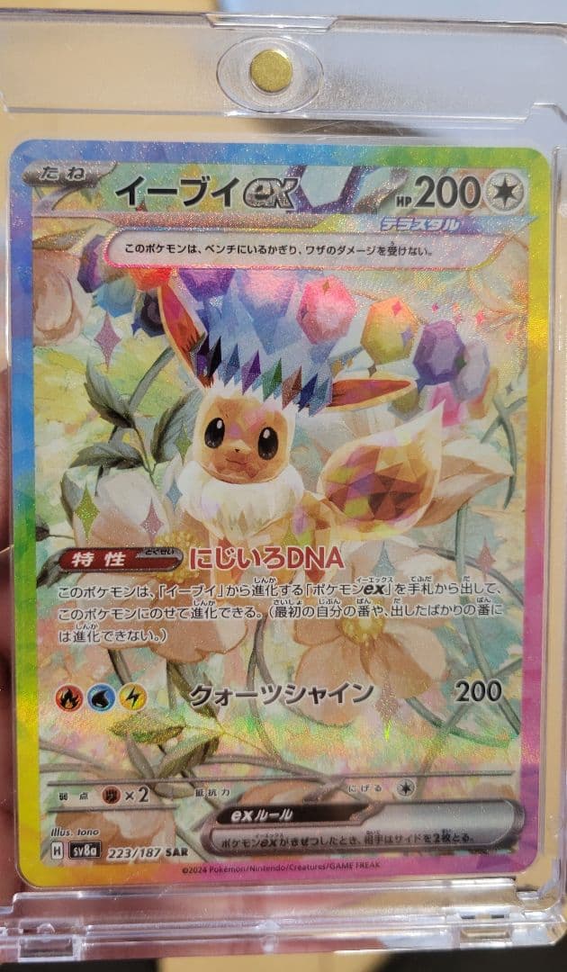 ポケカ テラスタルフェス ゴッドパック ブイズ系 SAR 9枚セット