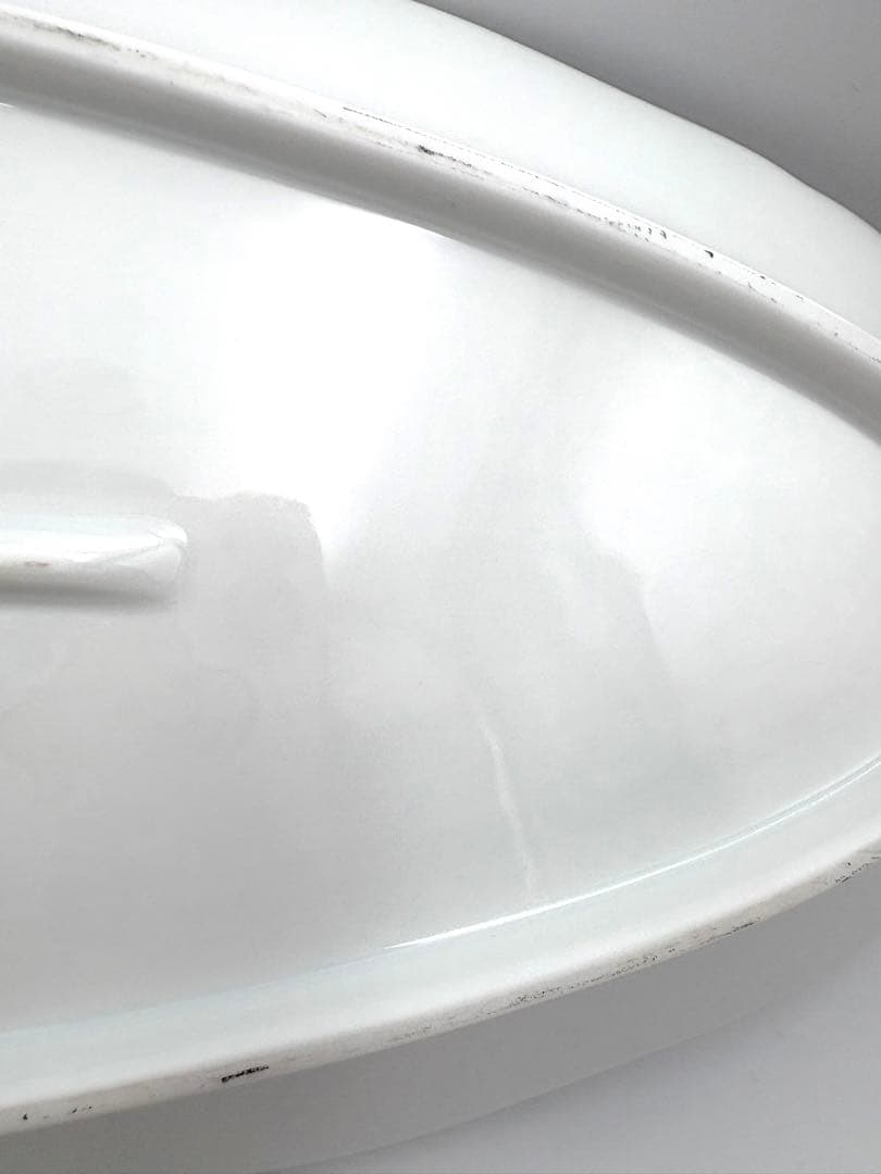 【希少】リチャードジノリ　イタリアンフルーツ 58cm 特大オーバルプレート