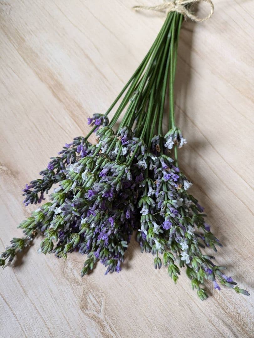 ラベンダー♡パープルとホワイト