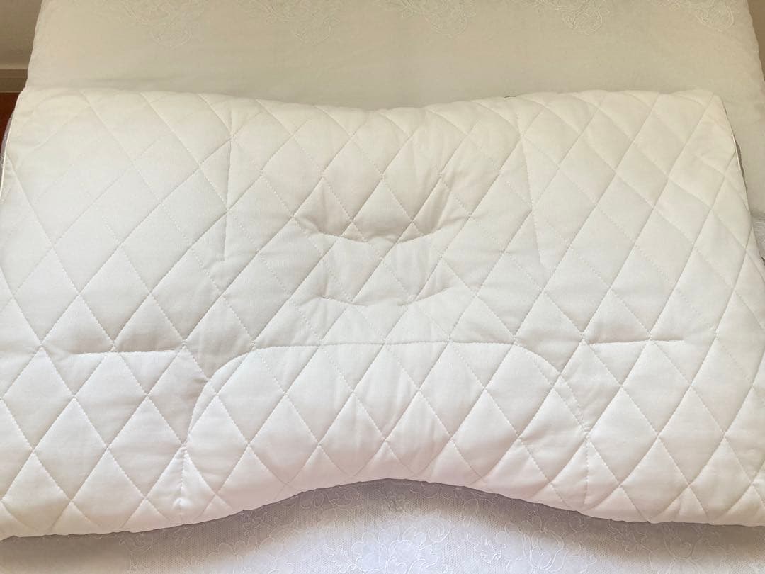 西川 ファインスムーズ　ファインクオリティ フラボノイドパイプ枕