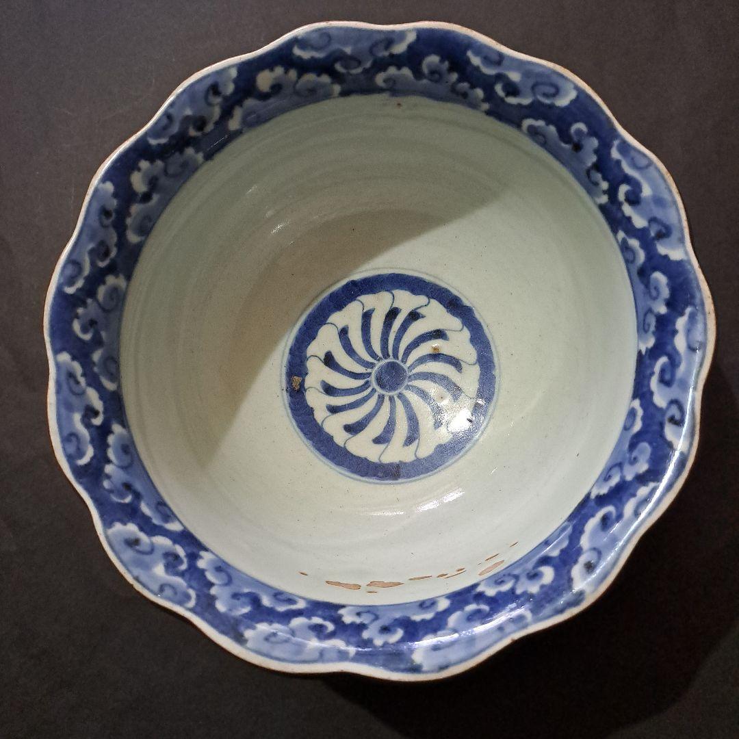 古伊万里　呉須染付青磁　深鉢　輪花赤縁　口太　高台　立割菊花図　江戸後期