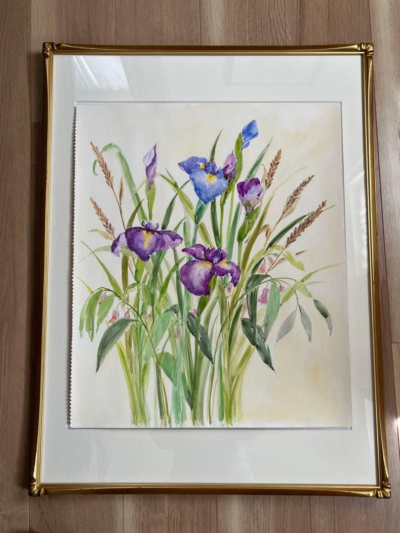 菖蒲　水彩画　原画
