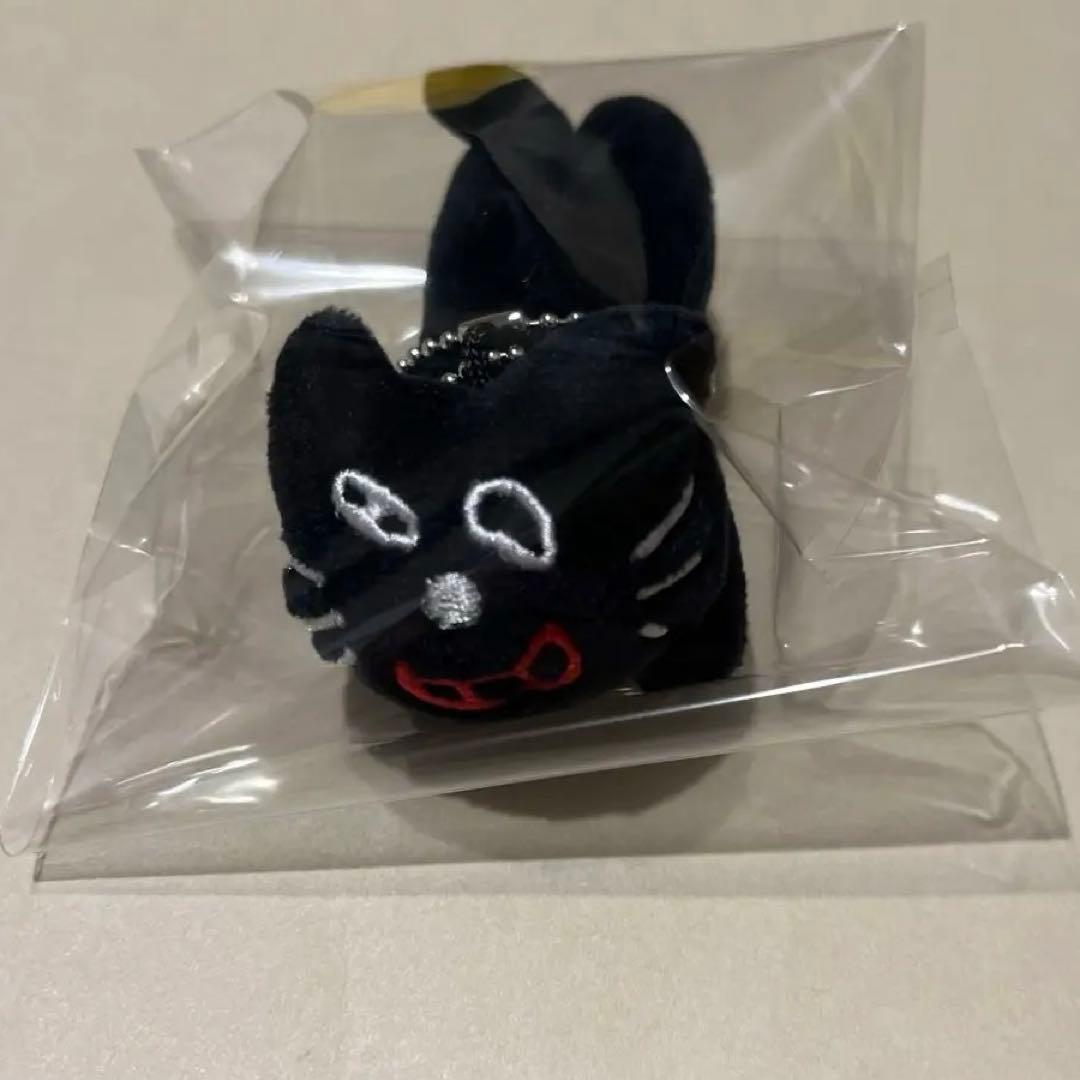 超貴重！ エラー品 キヨ猫