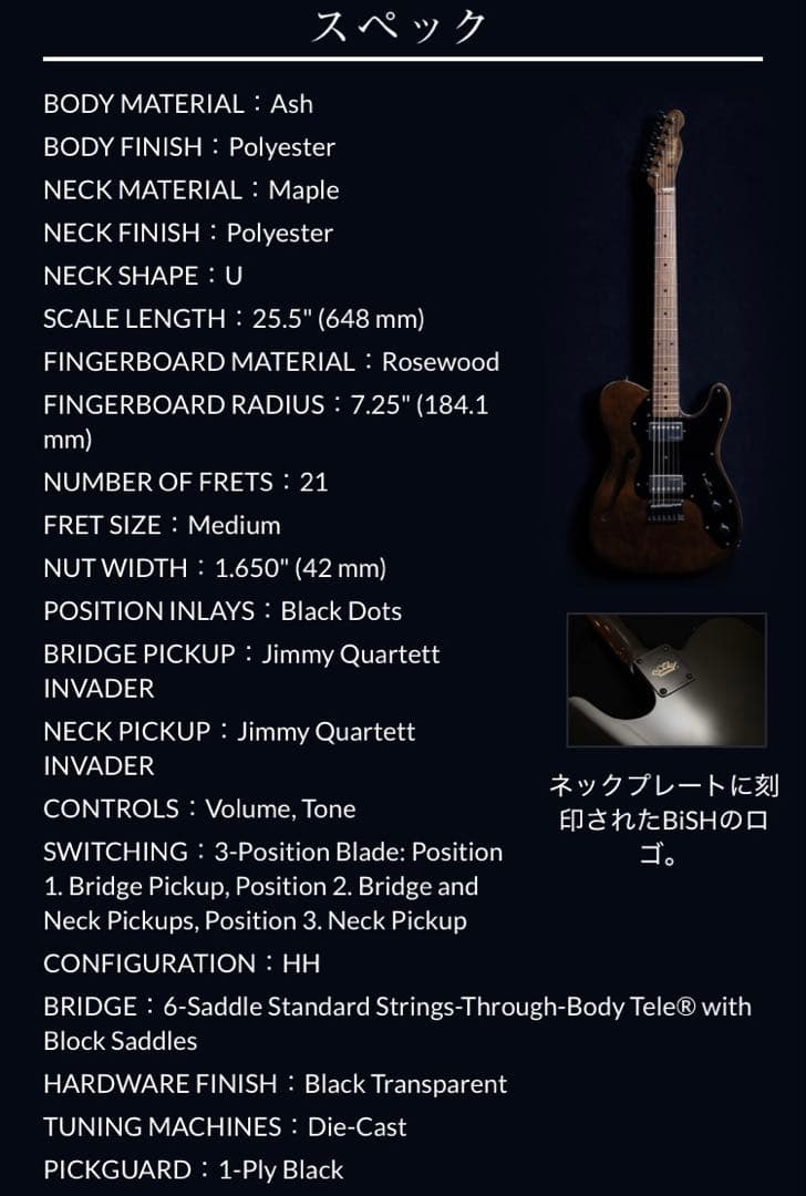 Fender Telecaster Thinline “BiSH”