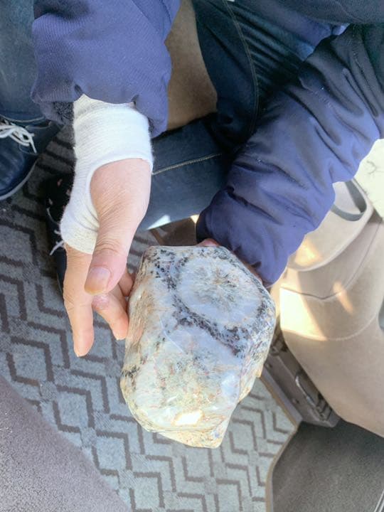 鑑賞石用菊花石