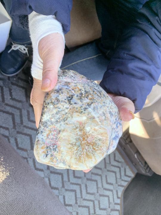 鑑賞石用菊花石