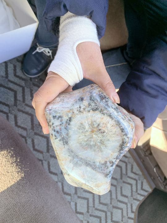 鑑賞石用菊花石