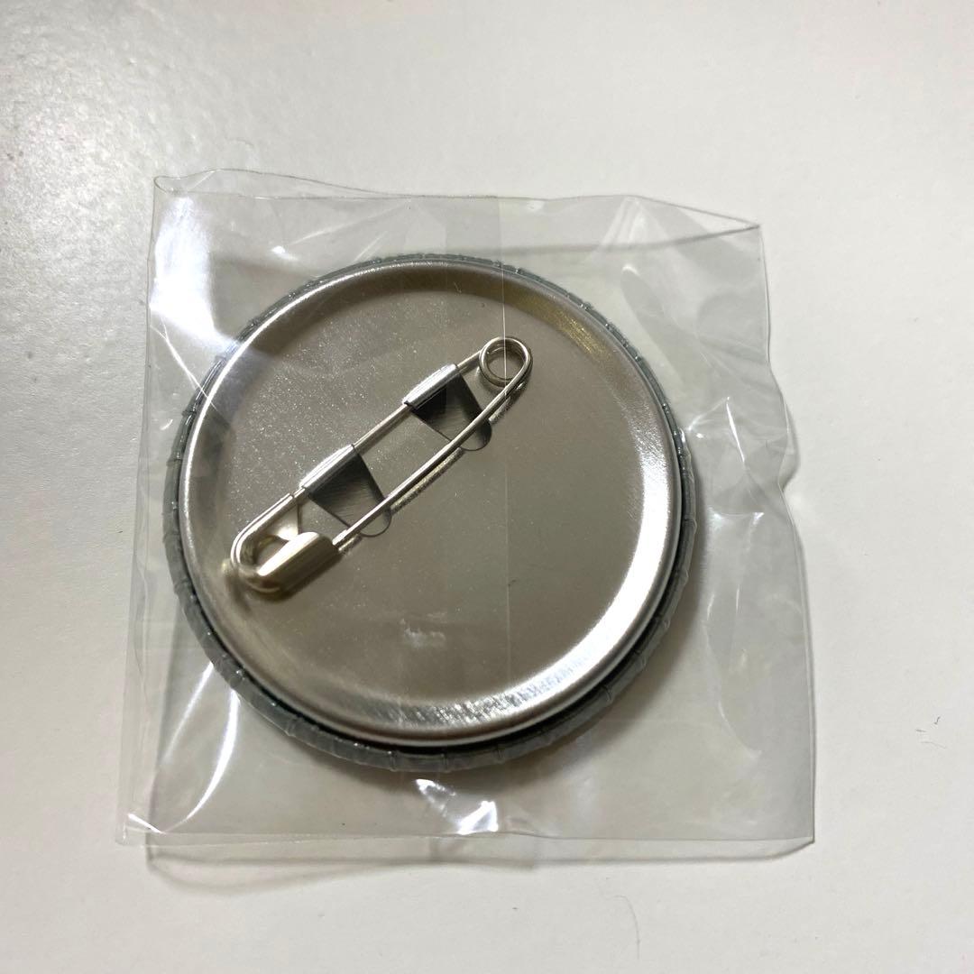 ポケモン サーナイト 缶バッジ - メルカリ