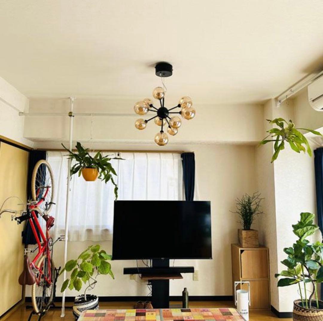 ディアナ バブルペンダントライト 10灯 ブラック G9型LED電球付