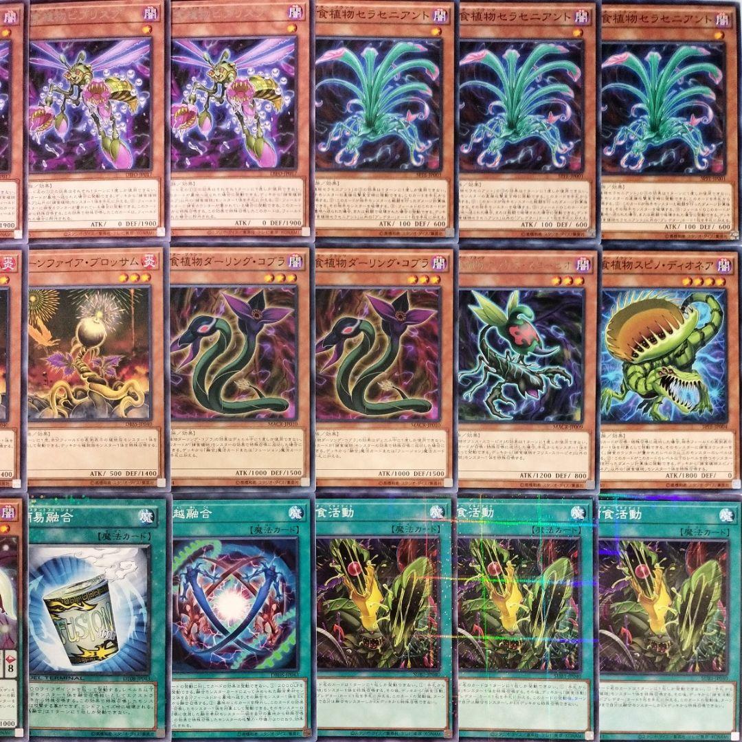 遊戯王 構築済み 捕食植物 プレデタープランツ デッキ】捕食活動 超