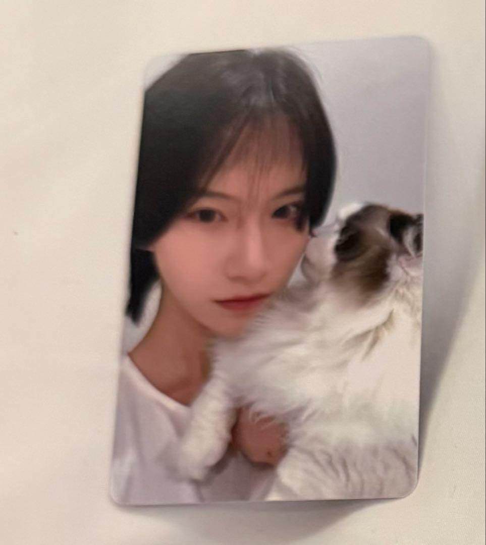 ビンファ 中国限定 カフェ1日店長 トレカ - メルカリ