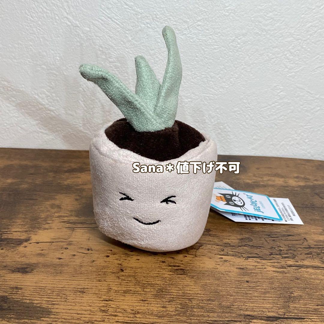 廃盤 新品タグ付き ジェリーキャット 植物 観葉植物 鉢植え ポット 芽 笑顔
