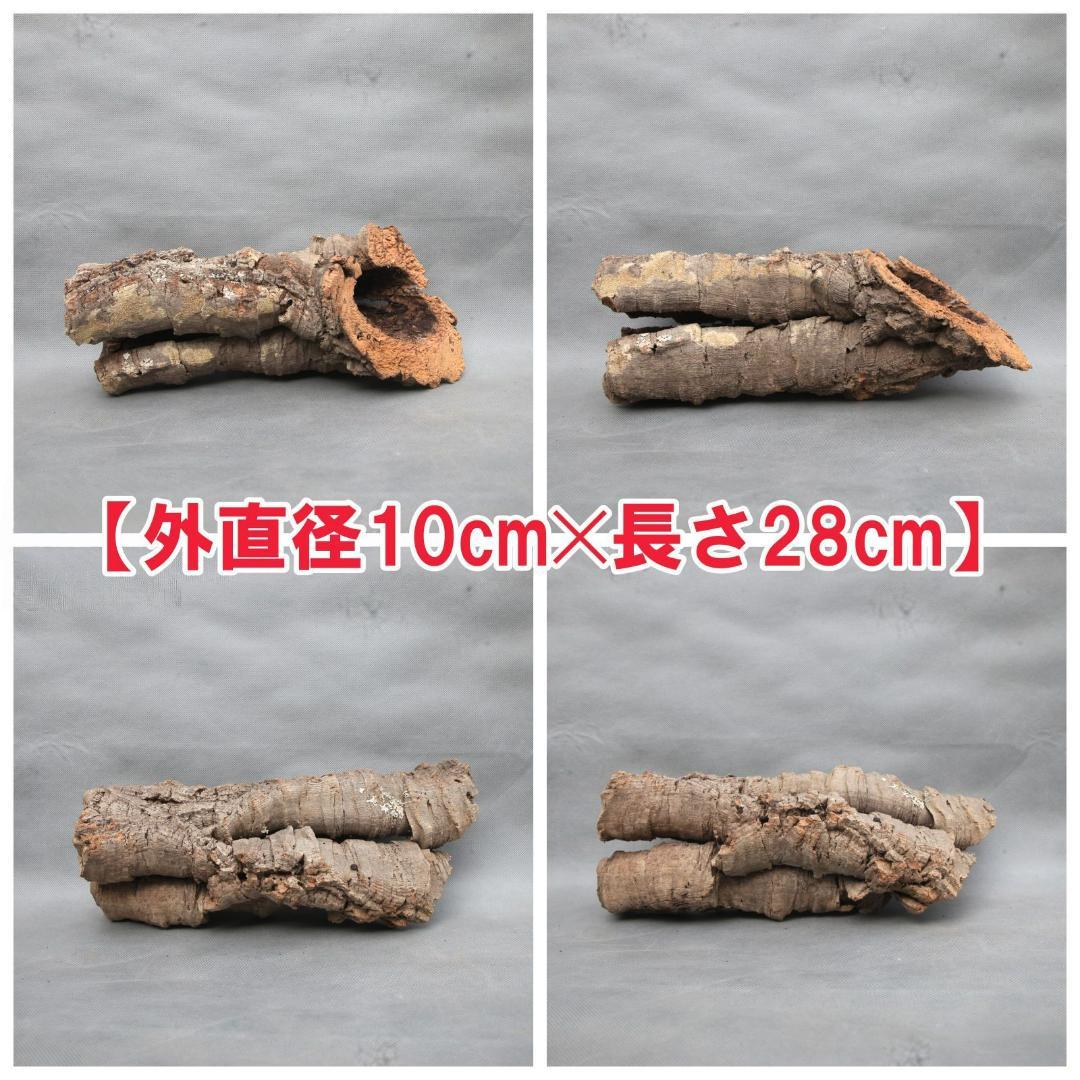 W582 ポルトガル産 キャノンコルク コルク樹皮 コルク板 バージン