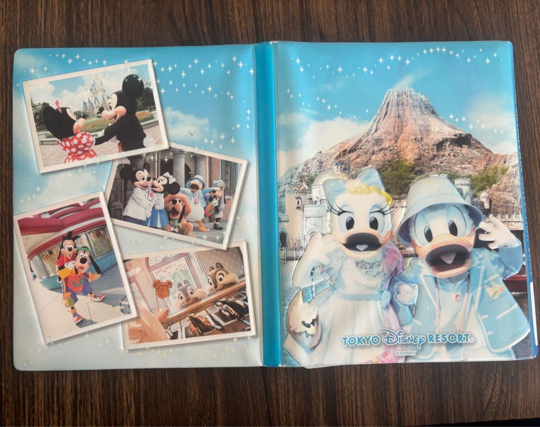 ディズニーリゾート メダルブック 35周年記念メダル+2018年メダル　計42枚