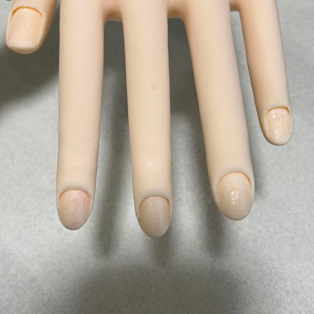 モデルハンド JNEC認定 ネイル技能検定