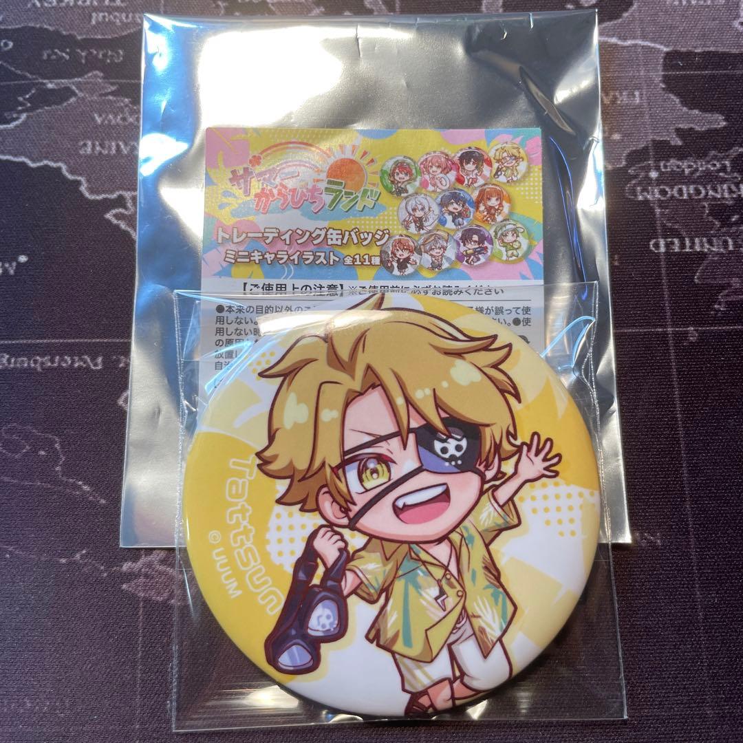 たっつん カラフルピーチ サマーランド ミニキャラ 缶バッジ からぴち