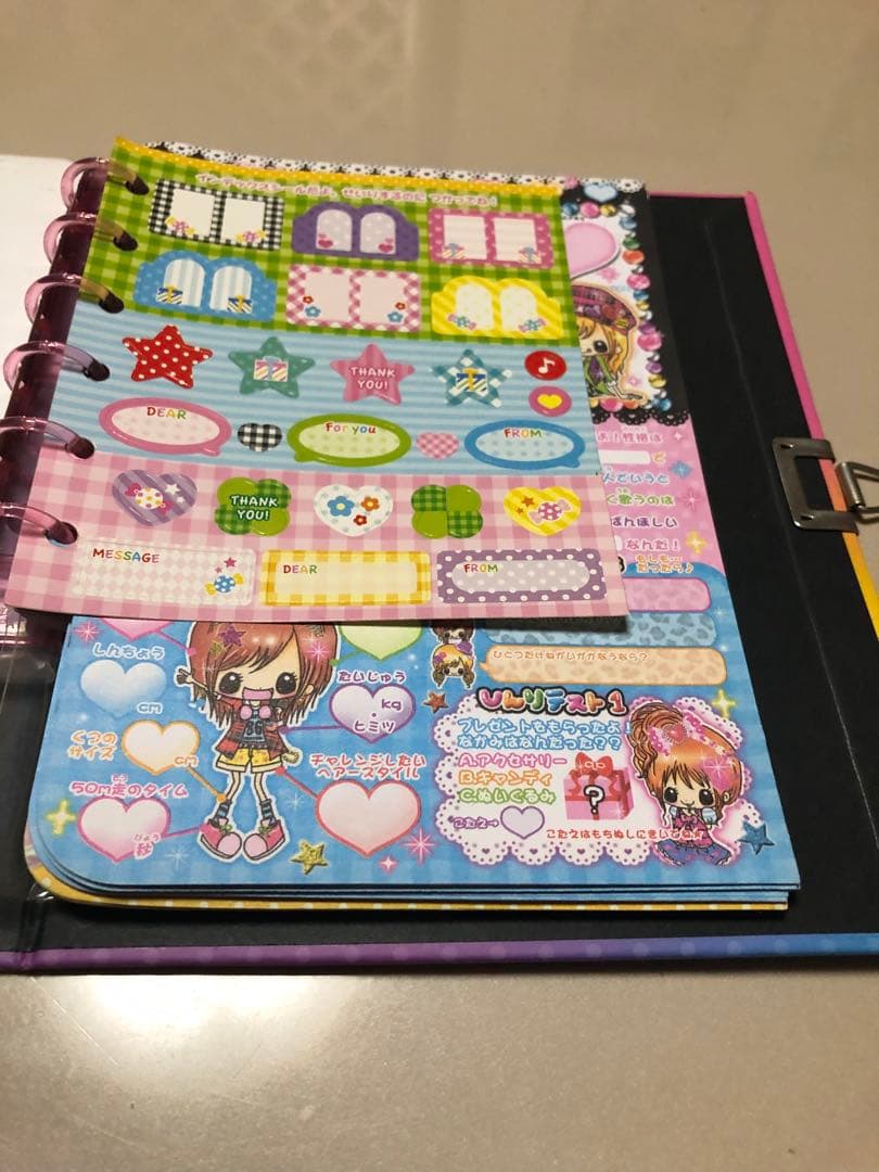 カミオジャパン 鍵付き プロフィール帳 平成レトロ 激レア