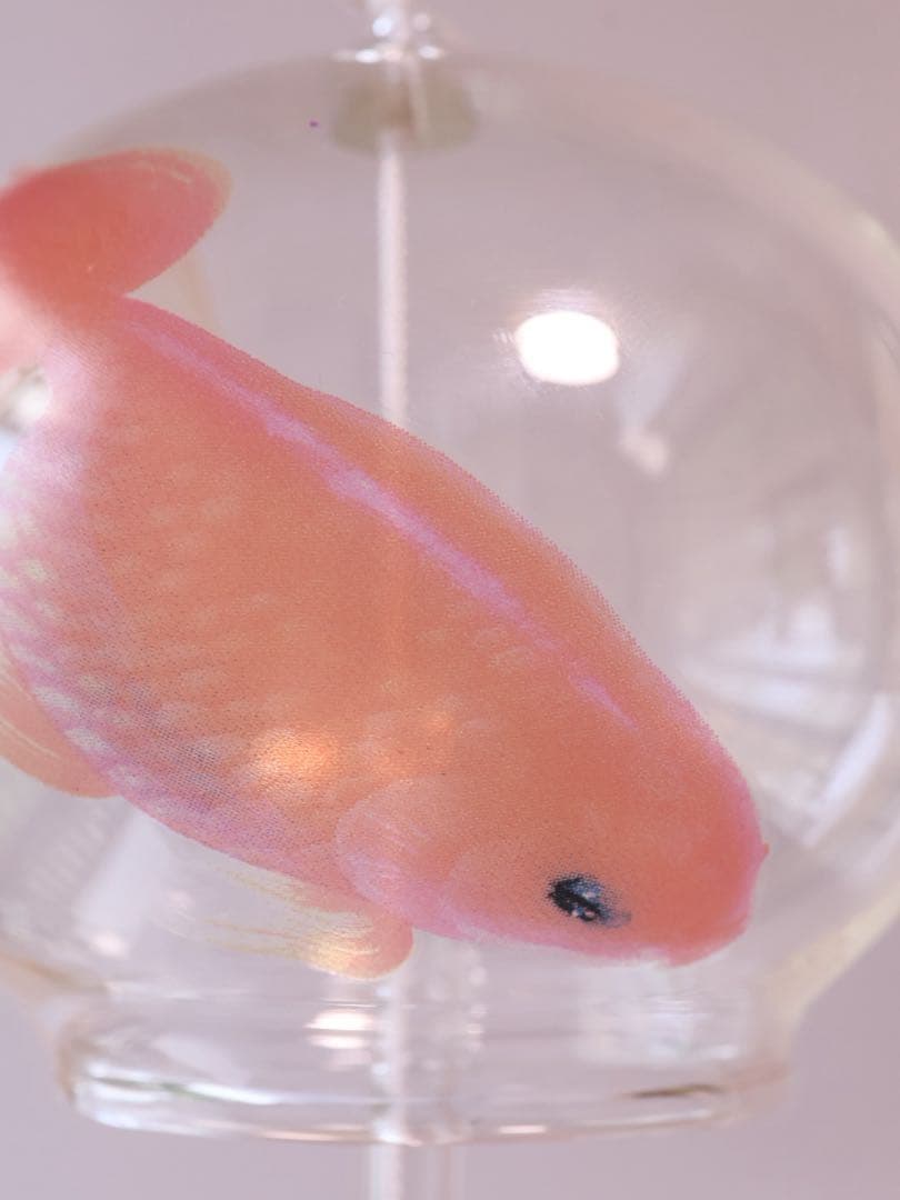 深堀隆介 金魚 風鈴 おまけ付