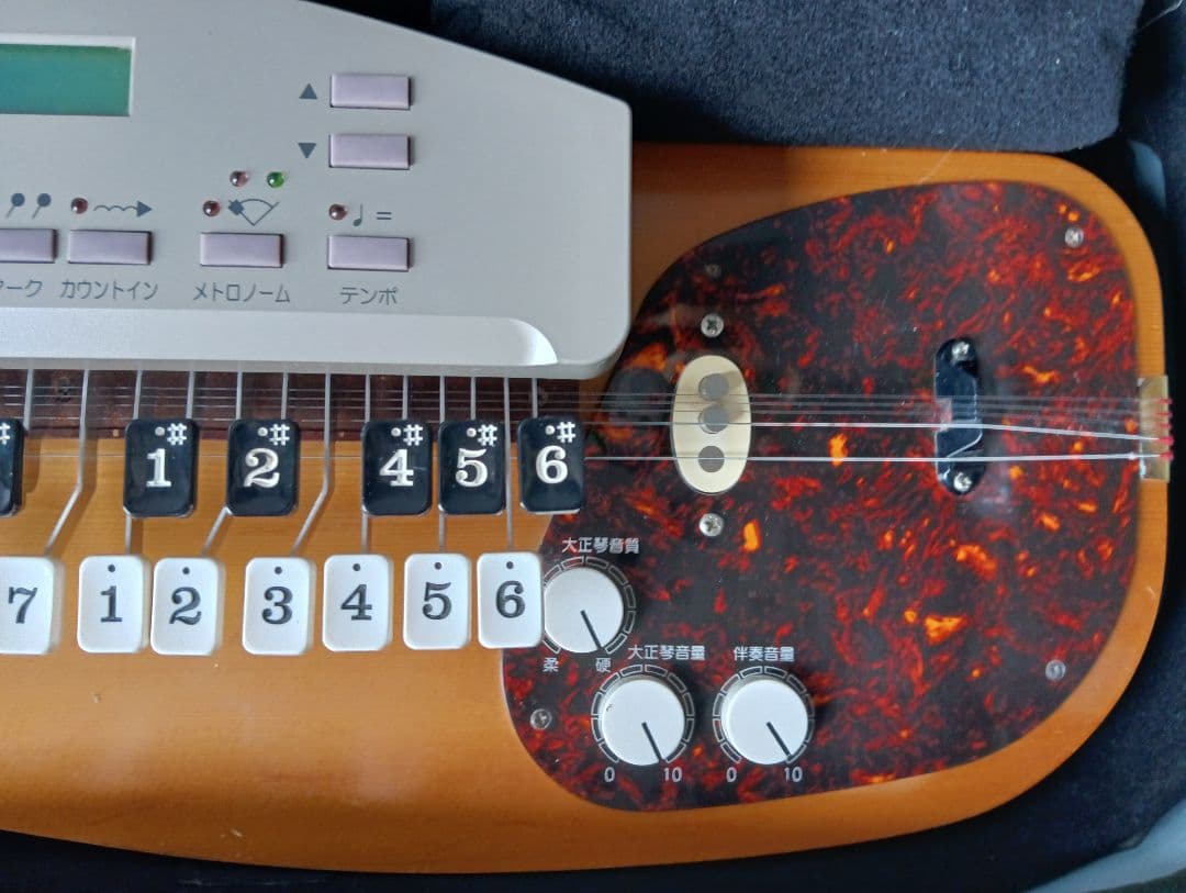 SUZUKI 大正琴 あゆ TES-151 スズキ