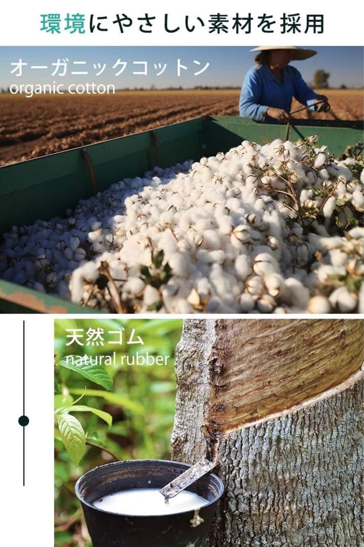 M0126-5 queen rose クイーンローズ ポケットコイル マットレス