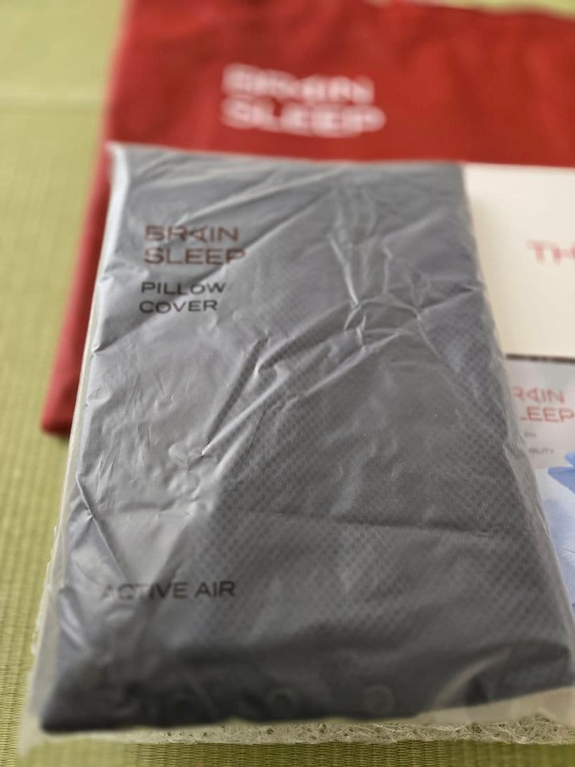 【美品】ブレインスリープ ピローローサイズ　ピローカバーと専用バッグ付き